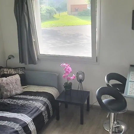 Appartement Dunkerque Centre Au Rdc, 2 Personnes, Parking Prive Duinkerke
