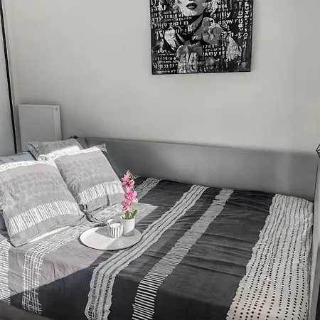 Appartement Dunkerque Centre Au Rdc, 2 Personnes, Parking Prive Appartement