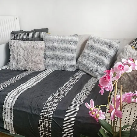 Appartement Dunkerque Centre Au Rdc, 2 Personnes, Parking Prive Appartement Duinkerke