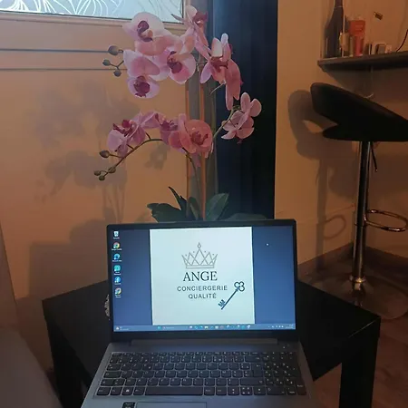 Appartement Cosynestdunkerque, Au Coeur De Dunkerque, 2 Personnes, Parking Prive