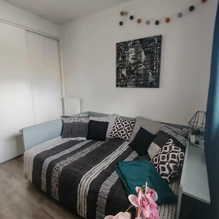 Appartement Appartement Dunkerque Centre Au Rdc, 2 Personnes, Parking Prive *