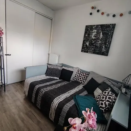 Appartement Dunkerque Centre Au Rdc, 2 Personnes, Parking Prive Appartement