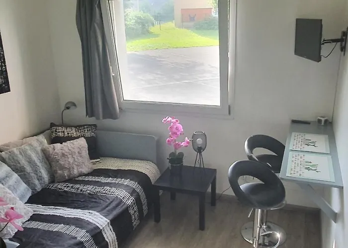 Centre De Dunkerque, Appartement Rdc, 2 Personnes, Parking Prive Dunkirk