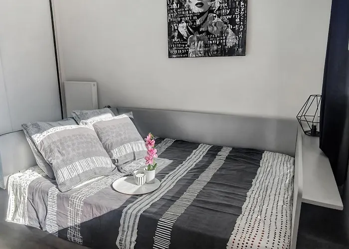 Centre De Dunkerque, Appartement Rdc, 2 Personnes, Parking Prive Lejlighed