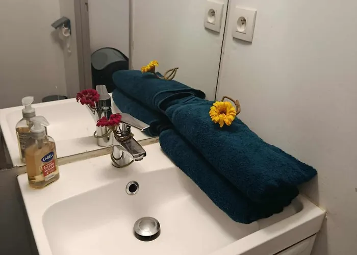 Centre De Dunkerque, Appartement Rdc, 2 Personnes, Parking Prive Lejlighed Dunkirk