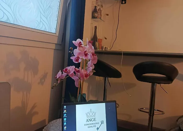 Centre De Dunkerque, Appartement Rdc, 2 Personnes, Parking Prive * Dunkirk